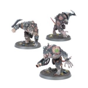 rataogors