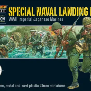 Special naval landing force