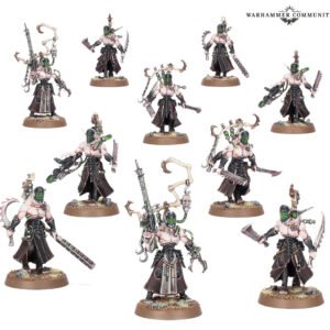 Atormentados Drukhari