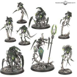 Kill team: Circulo canoptico